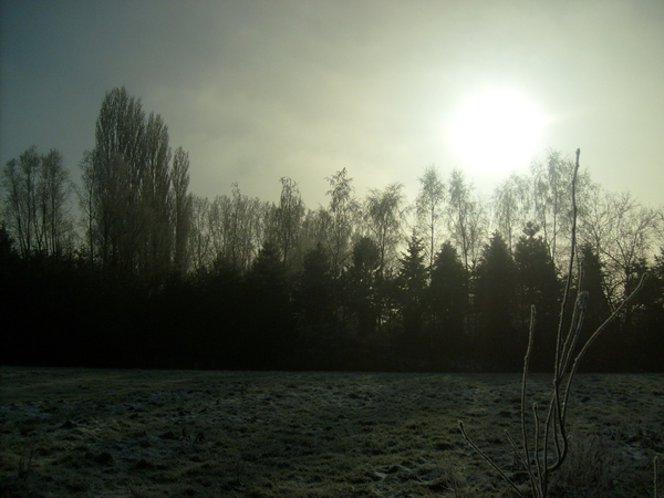 winter  jan 2009 009