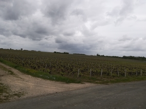 De eerste wijngaarden in Vouvray