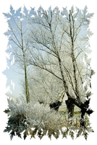 Wintersfeer 2009 (16)