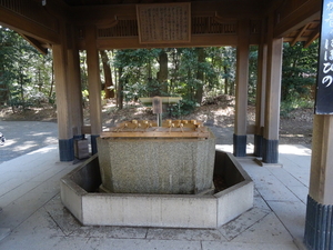 1A Tokio, Meiji Shrine _D0028