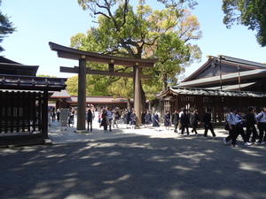1A Tokio, Meiji Shrine _D0029