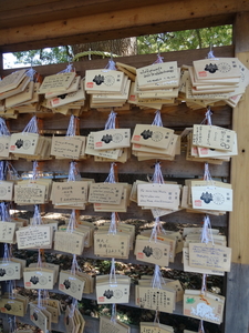 1A Tokio, Meiji Shrine _D0039