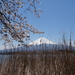 3D Mount Fuji, uitzichtpunt over meer _0432