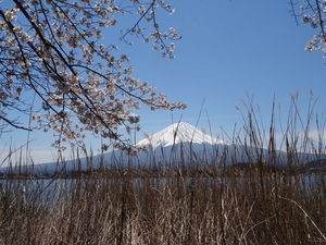 3D Mount Fuji, uitzichtpunt over meer _0432