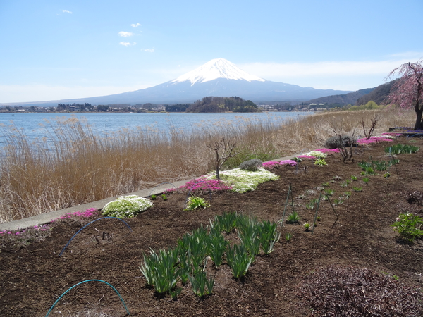 3D Mount Fuji, uitzichtpunt over meer _0441
