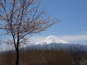 3D Mount Fuji, uitzichtpunt over meer _0444