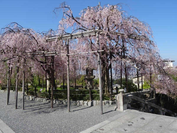 5E Kyoto, Kiyomizudera tempel  _0680