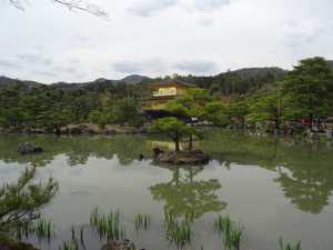 5I Kyoto, Gouden Paviljoen _0786