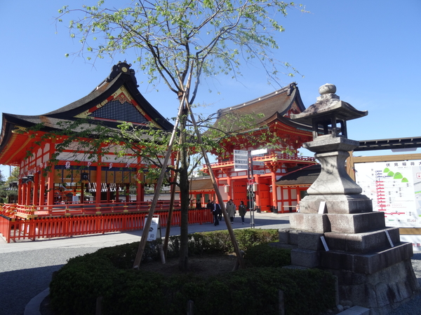 5P Kyoto, Fushimi Shrine _1147
