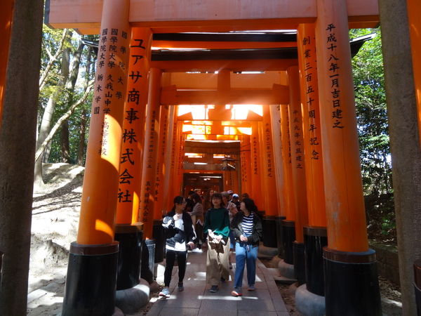 5P Kyoto, Fushimi Shrine _1166