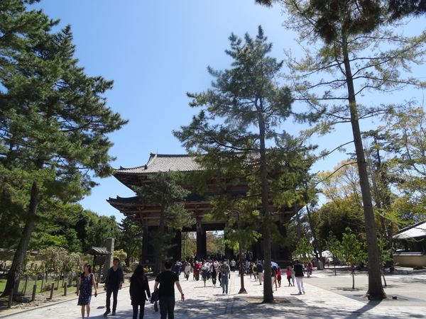 7A Nara, Todaji tempel  _1219