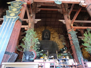 7A Nara, Todaji tempel  _1236
