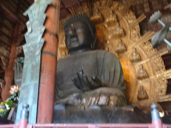7A Nara, Todaji tempel  _1249
