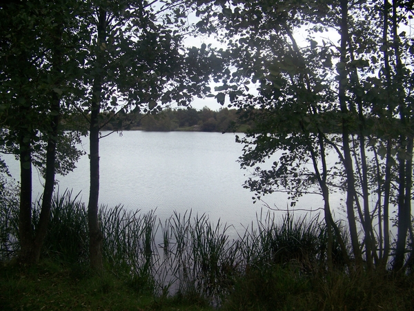 Herfst in Gaasterland