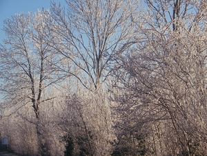Winter in Gaasterland