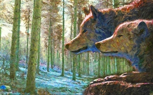 wolf-4340366_960_720