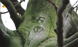 Bizar! In het Haagse Bos staat een boom met het portret van Hitle