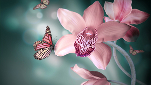 13177-blossom-insect-flora-petal-abstract_art-1920x1080