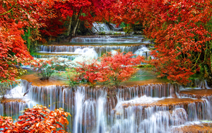99670-water_feature-autumn-waterfall-flora-reflection-2560x1600