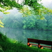 Nature_Forest_Quiet_place_near_the_river_015009_