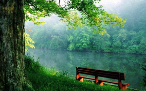 Nature_Forest_Quiet_place_near_the_river_015009_