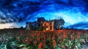 2868033-house-hdr-clouds-cabin-plants-trees-nature-abandoned___la