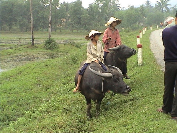 Noord Vietnam  provincie Lao Cai , Op weg naar Tha Pin
