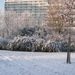 winter 2009 010