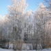 winter 2009 009