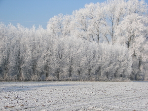 winter 2009 054