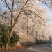 winter 2009 004
