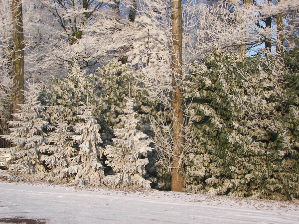 winter 2009 003
