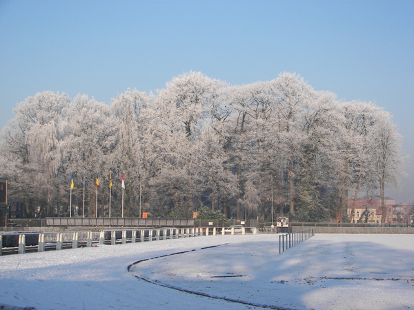 winter 2009 022