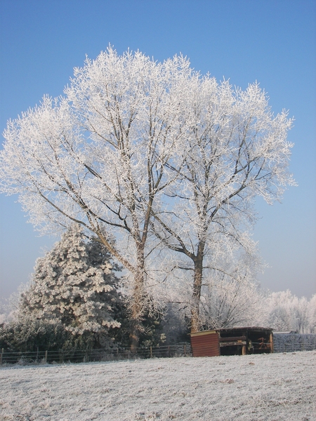winter 2009 046