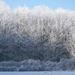 winter 2009 067
