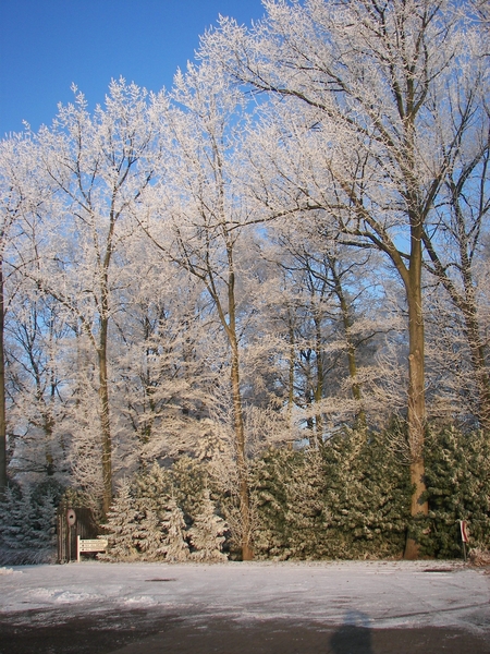 winter 2009 001