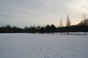 Sneeuw 046
