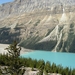 ICEFIELD PARKWAY