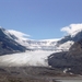 COLUMBIA ICEFIELD