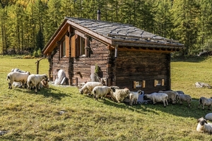 alpine-hut-4552818_1280