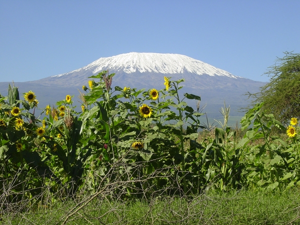 De Kilimanjaro (Tanzania)