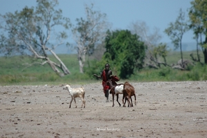 Masai herdertje