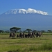 Olifanten en Kilimanjaro