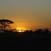 Zonsondergang in Amboseli