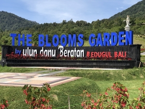 Blooms Garden