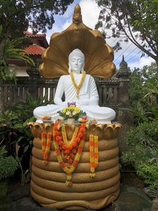 Vihara Dharma Giri