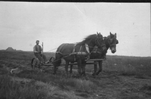 1915 (?) Wiebe de boer op maaimachine
