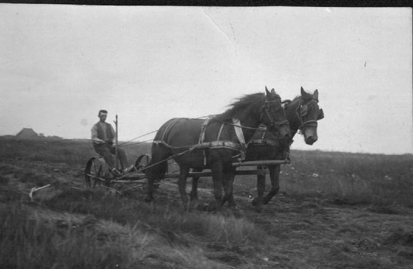 1915 (?) Wiebe de boer op maaimachine