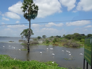 1C Anuradhapura, _DSC00058