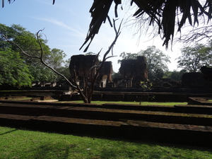 2C Polonnaruwa, _DSC00181